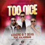 T-sean & Kekero-Too Nice Feat Kaladoshas